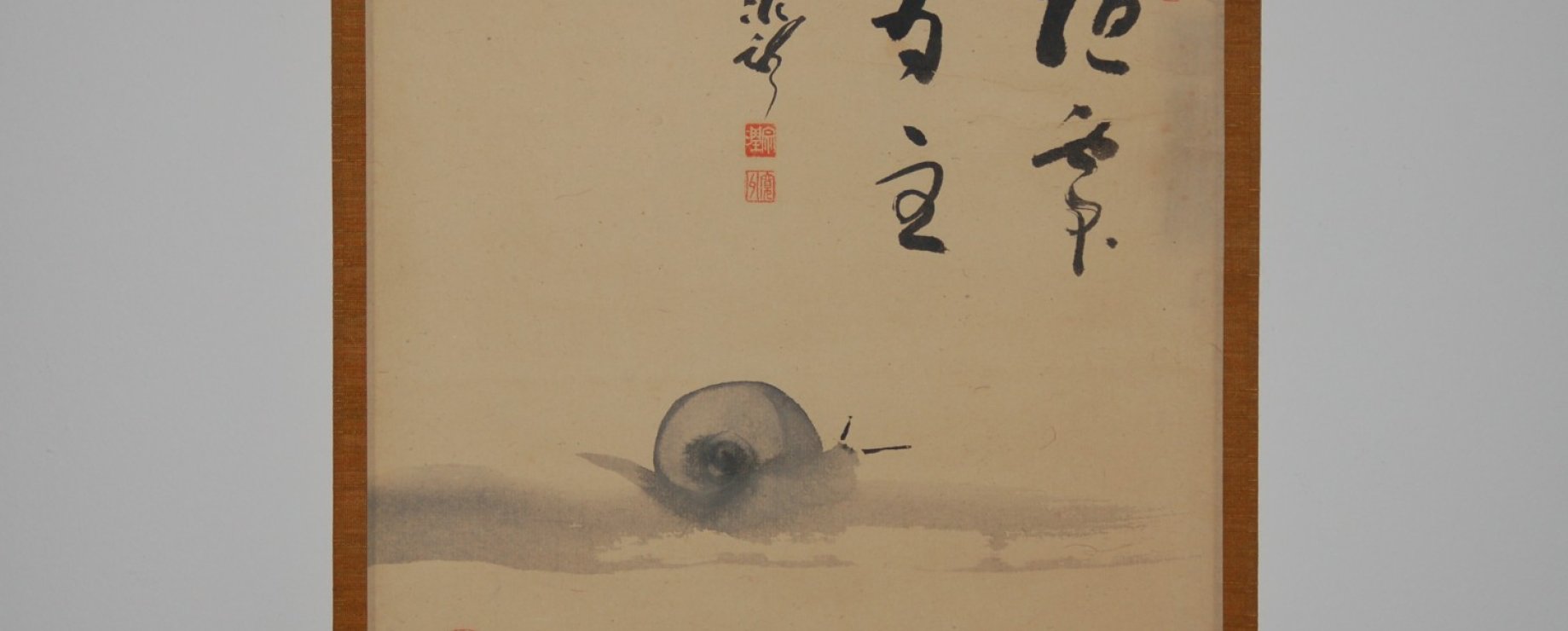 Member's pick zen snail